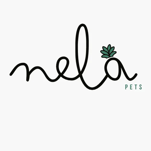 Foto de Nela pets