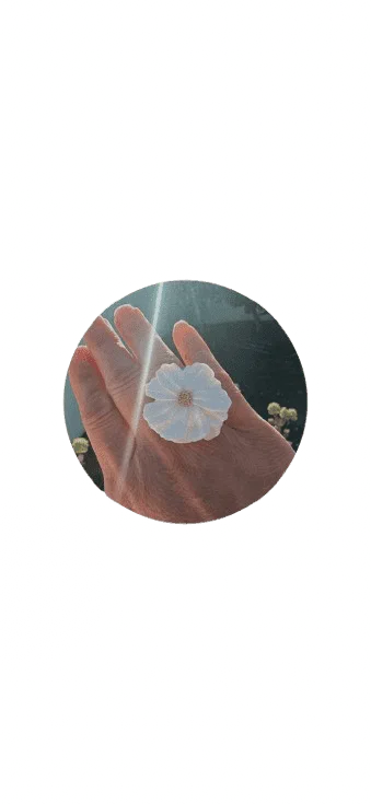 Foto de Saremma
