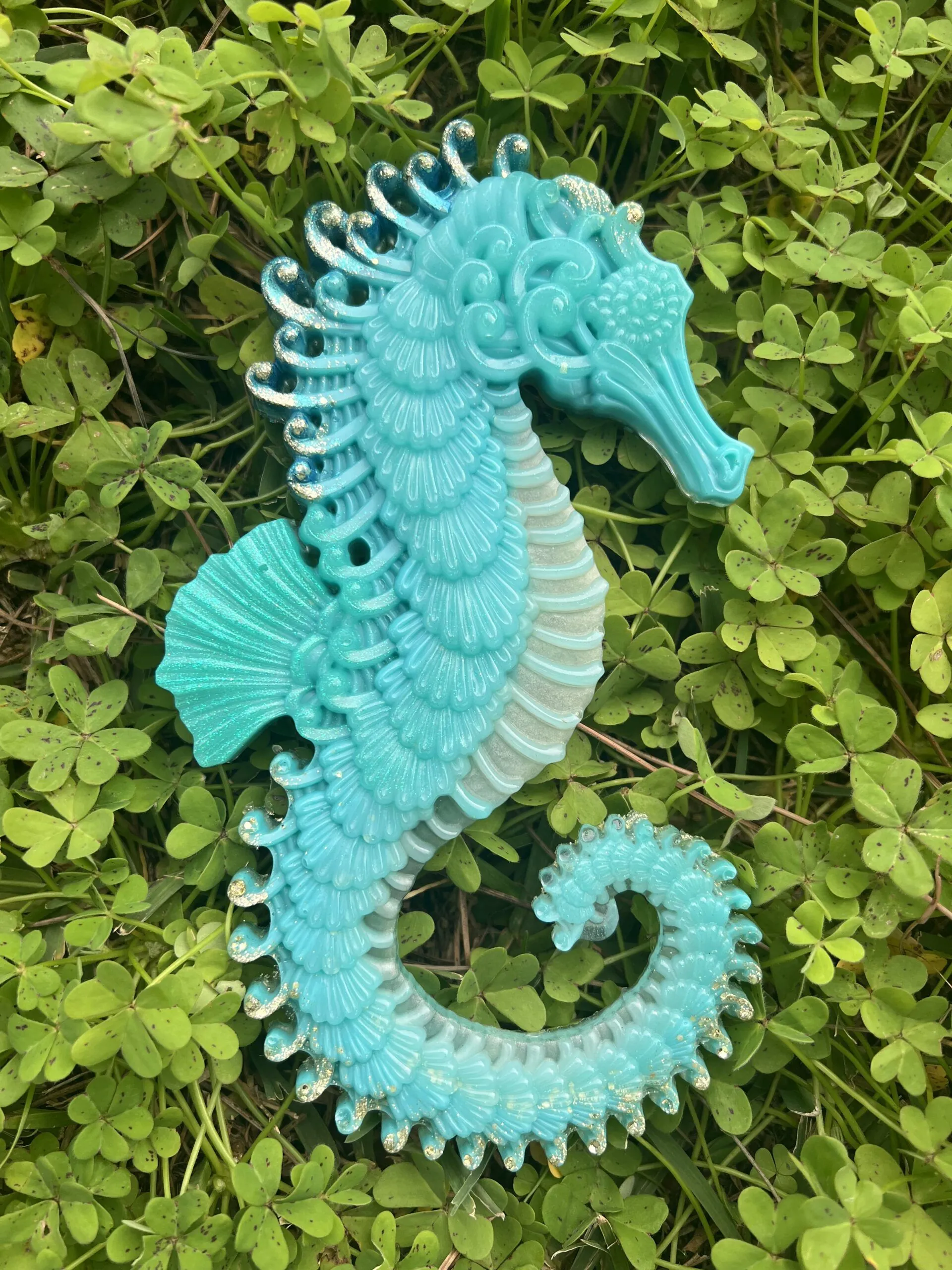 Caballito de mar