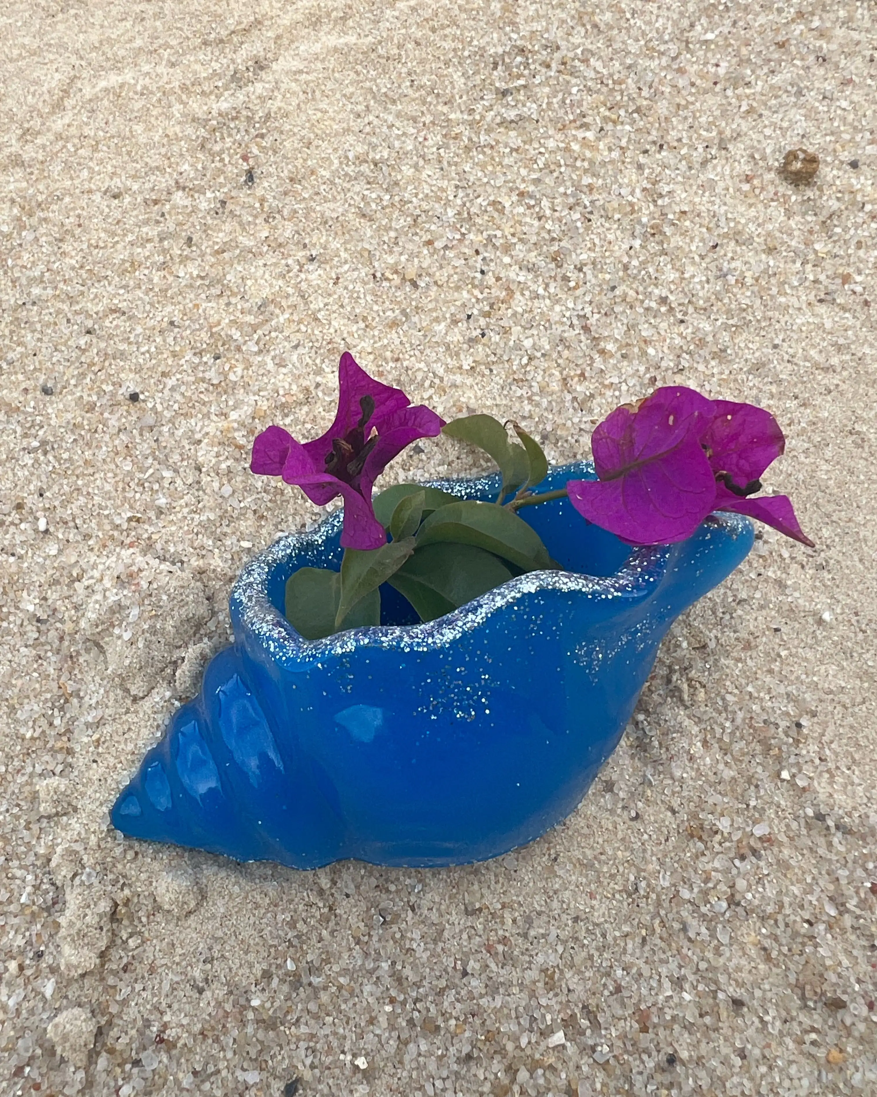 Caracolas