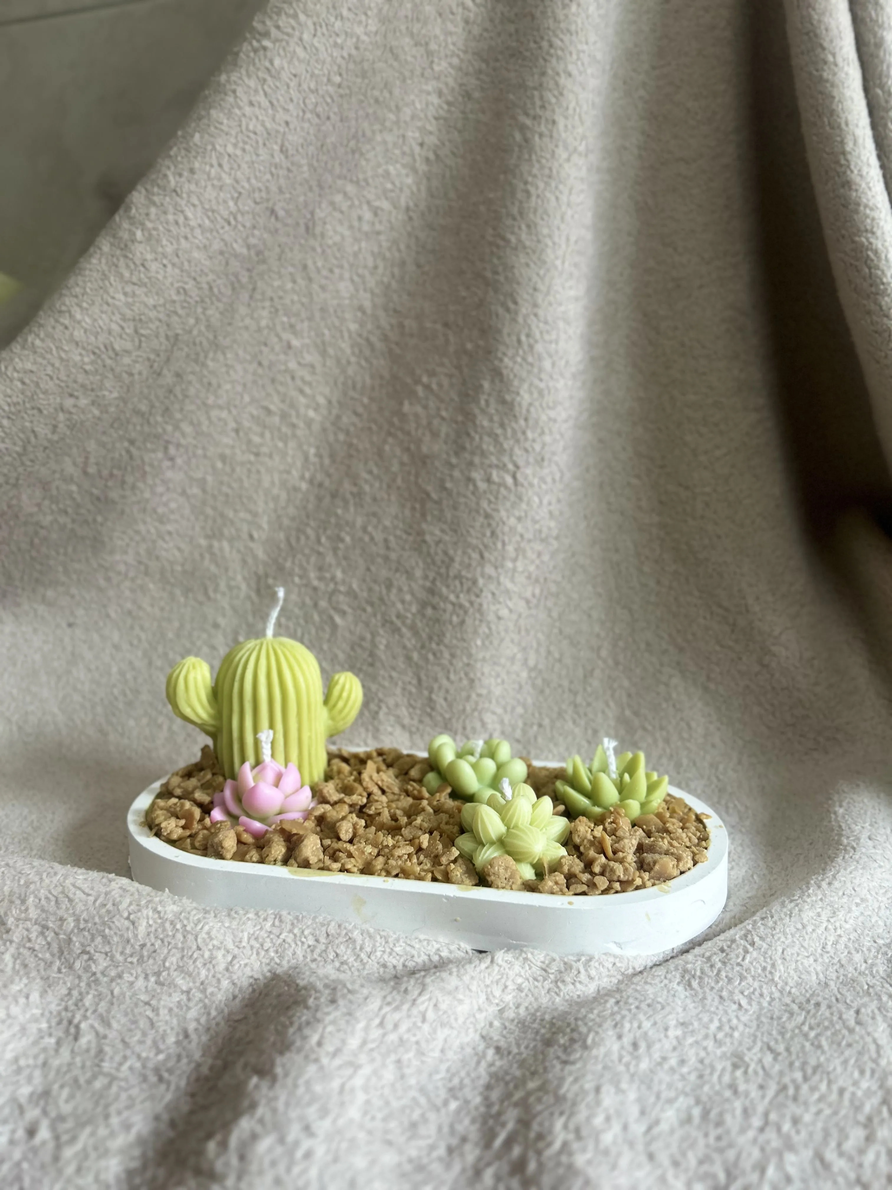Mini jardín - Imagen 3
