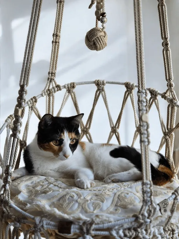 Silla colgante para gato  - Imagen 3