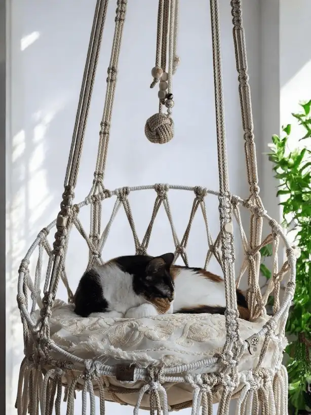 Silla colgante para gato 