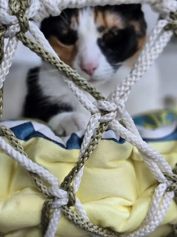 Hamaca para gato tamaño grande 45cm - Imagen 3
