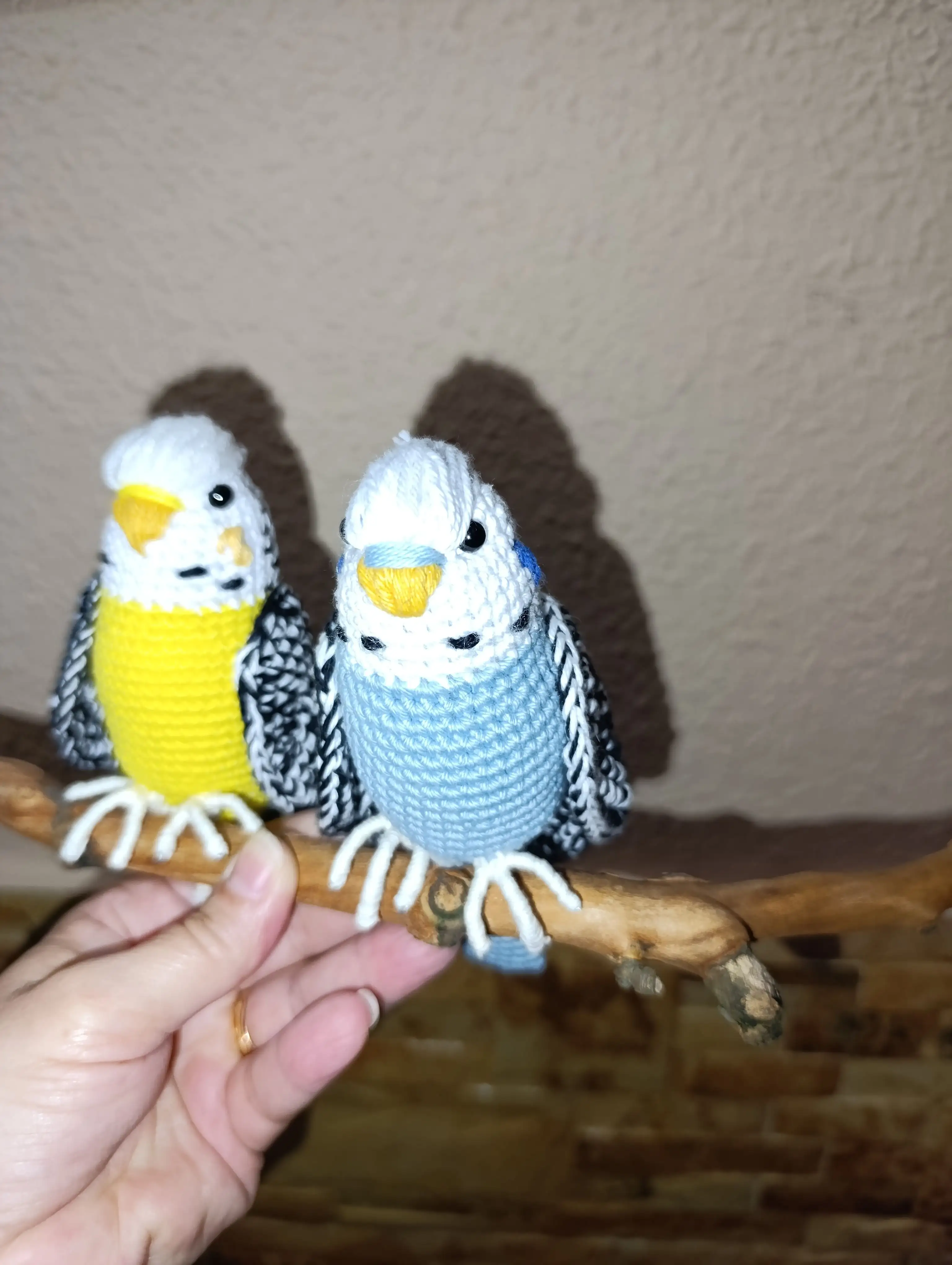 Periquito a crochet  - Imagen 2