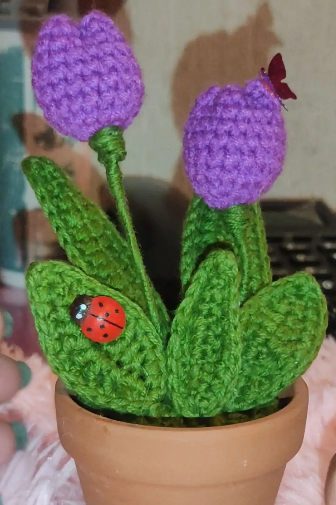 Plantas de lana de algodón