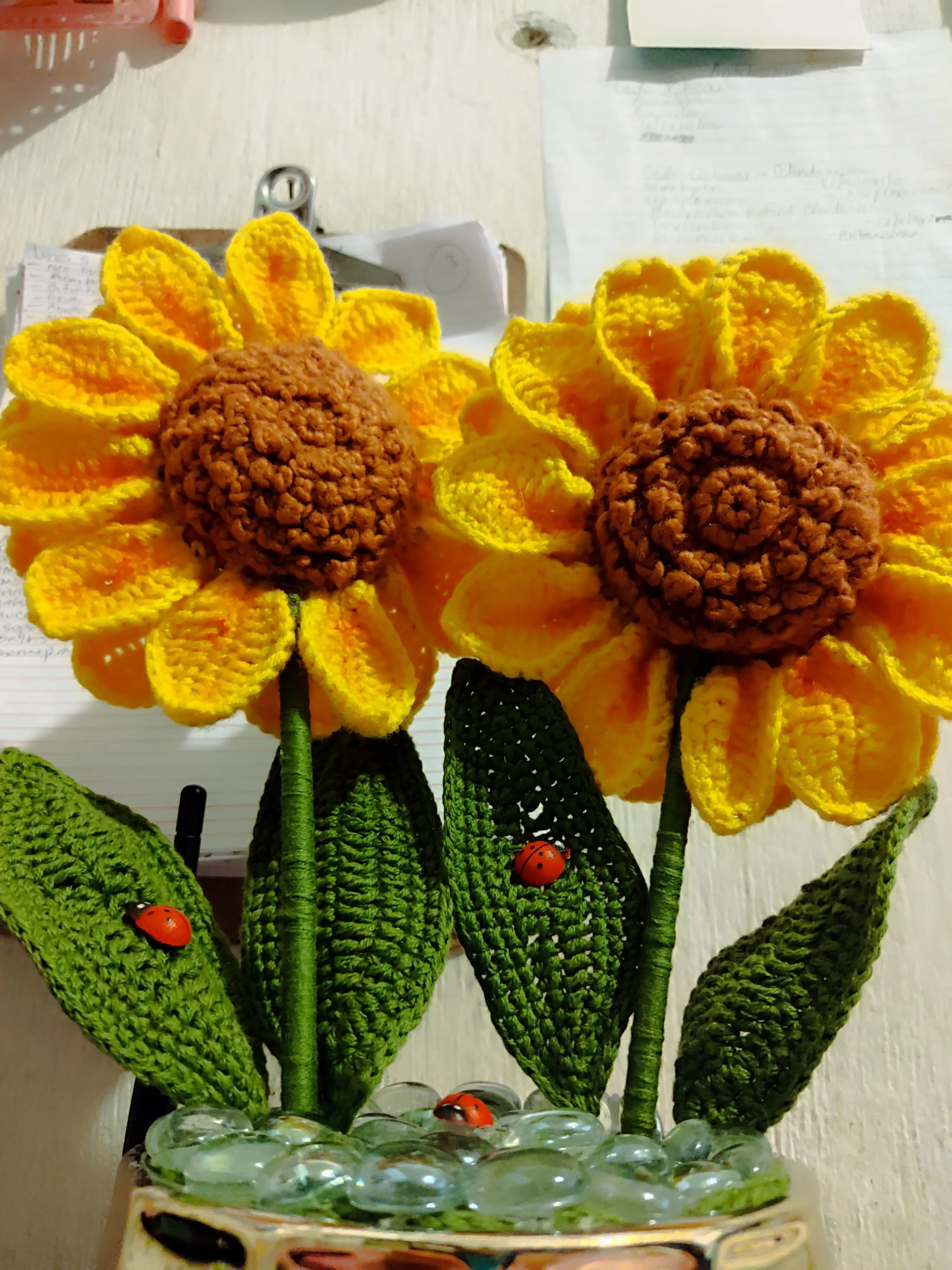 Plantas de lana de algodón - Imagen 3