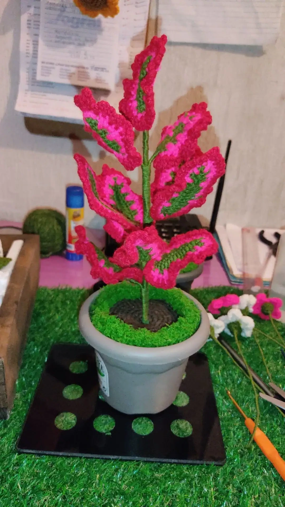 Plantas de lana de algodón - Imagen 2
