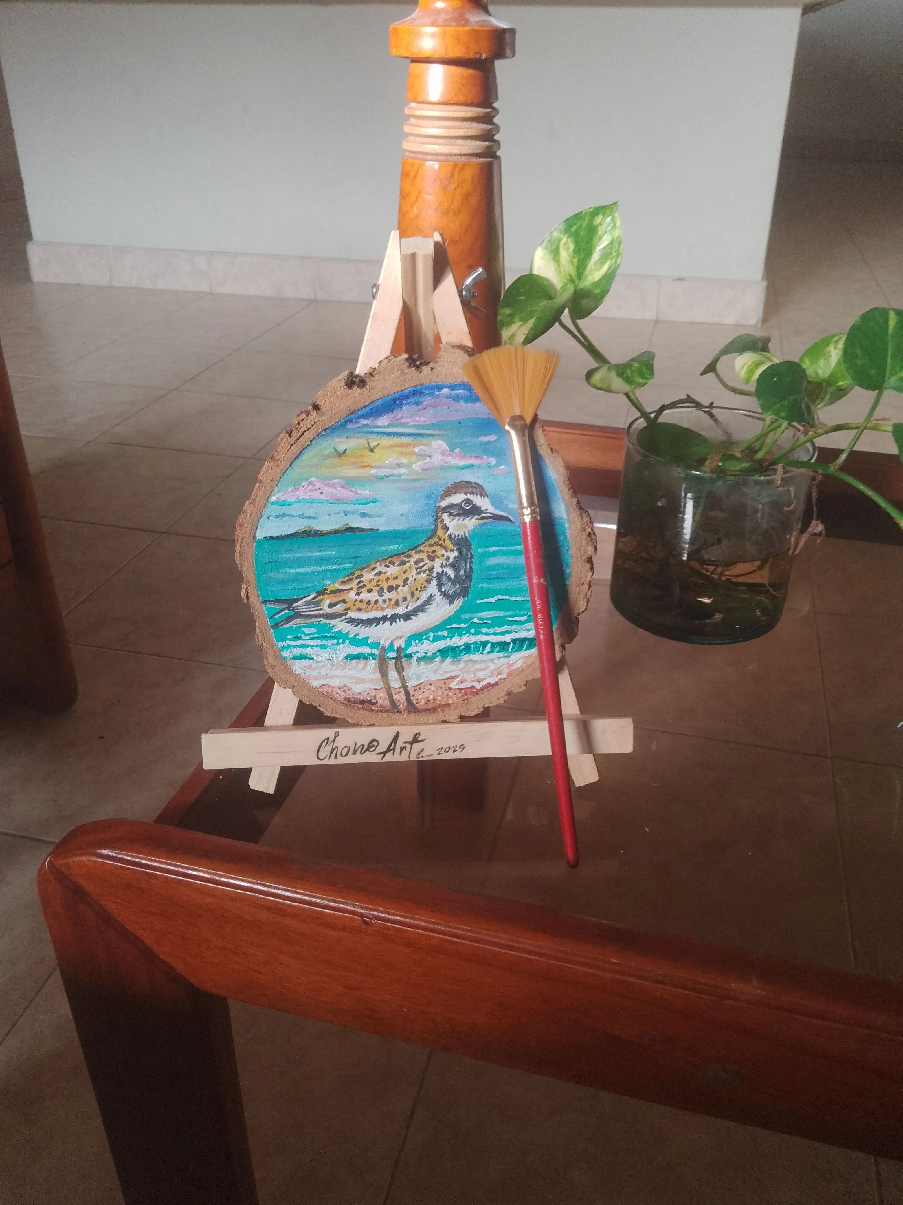 Aves costaneras