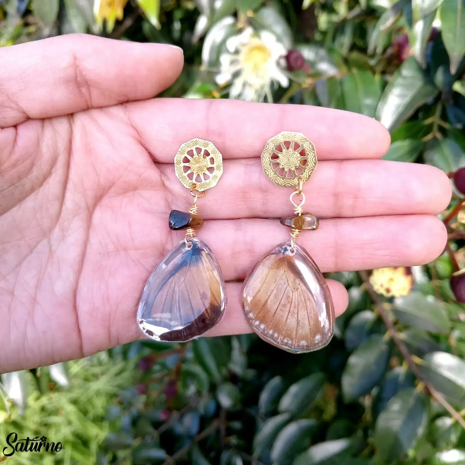 Aretes de alas de mariposa naturales - Imagen 2