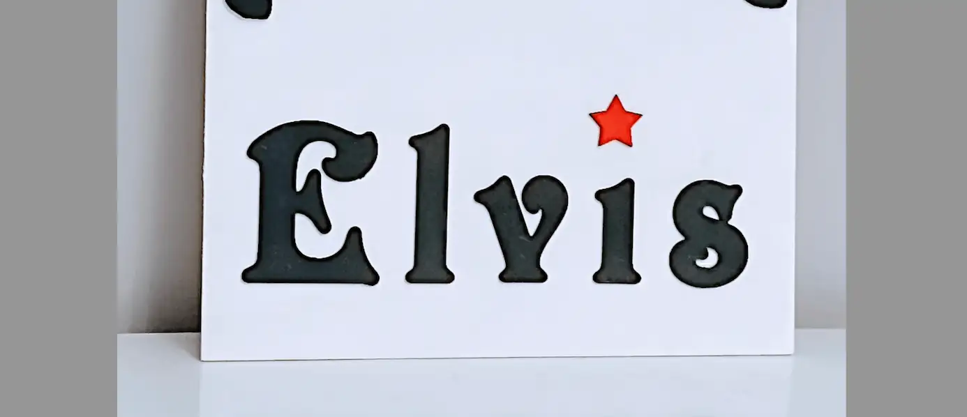 Cuadro Elvis - Imagen 2