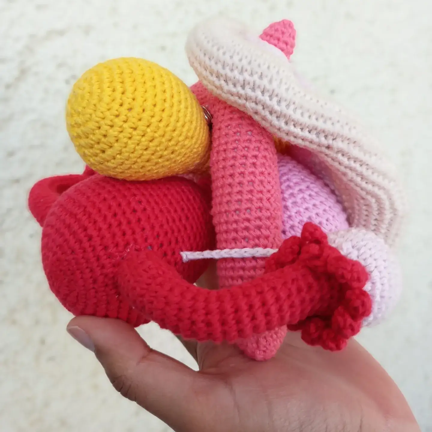 Kit didáctica aparato femenino  - Imagen 2