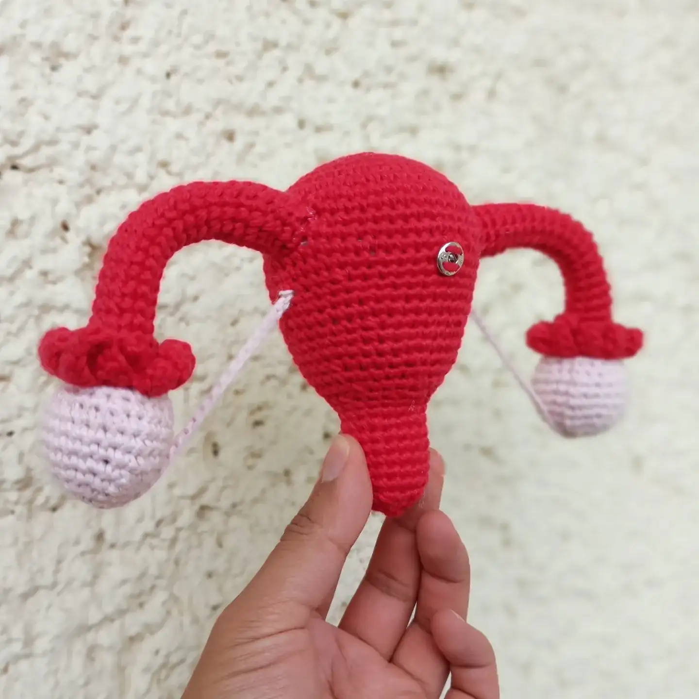 Kit didáctica aparato femenino  - Imagen 3