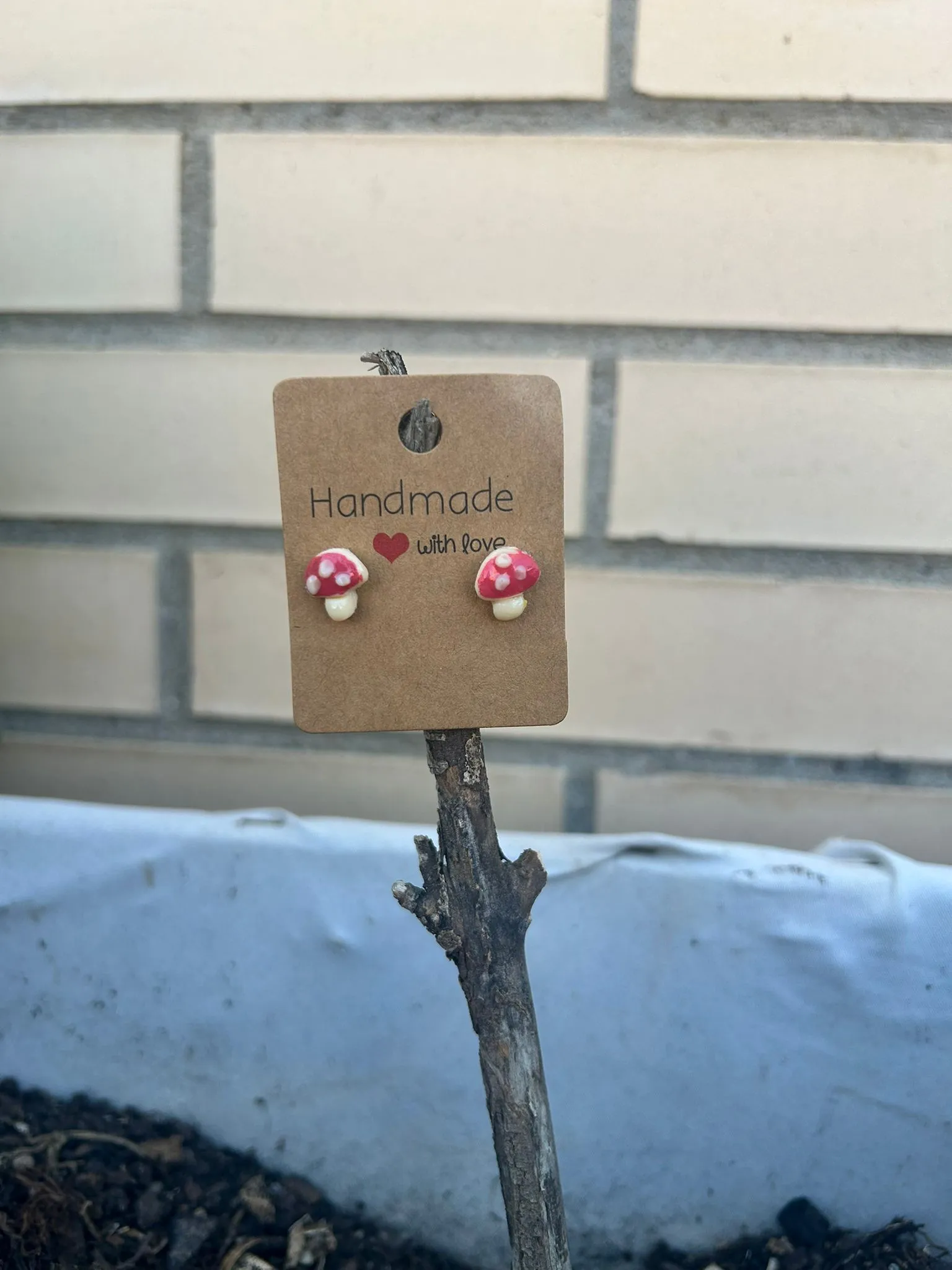 Pendientes Setitas