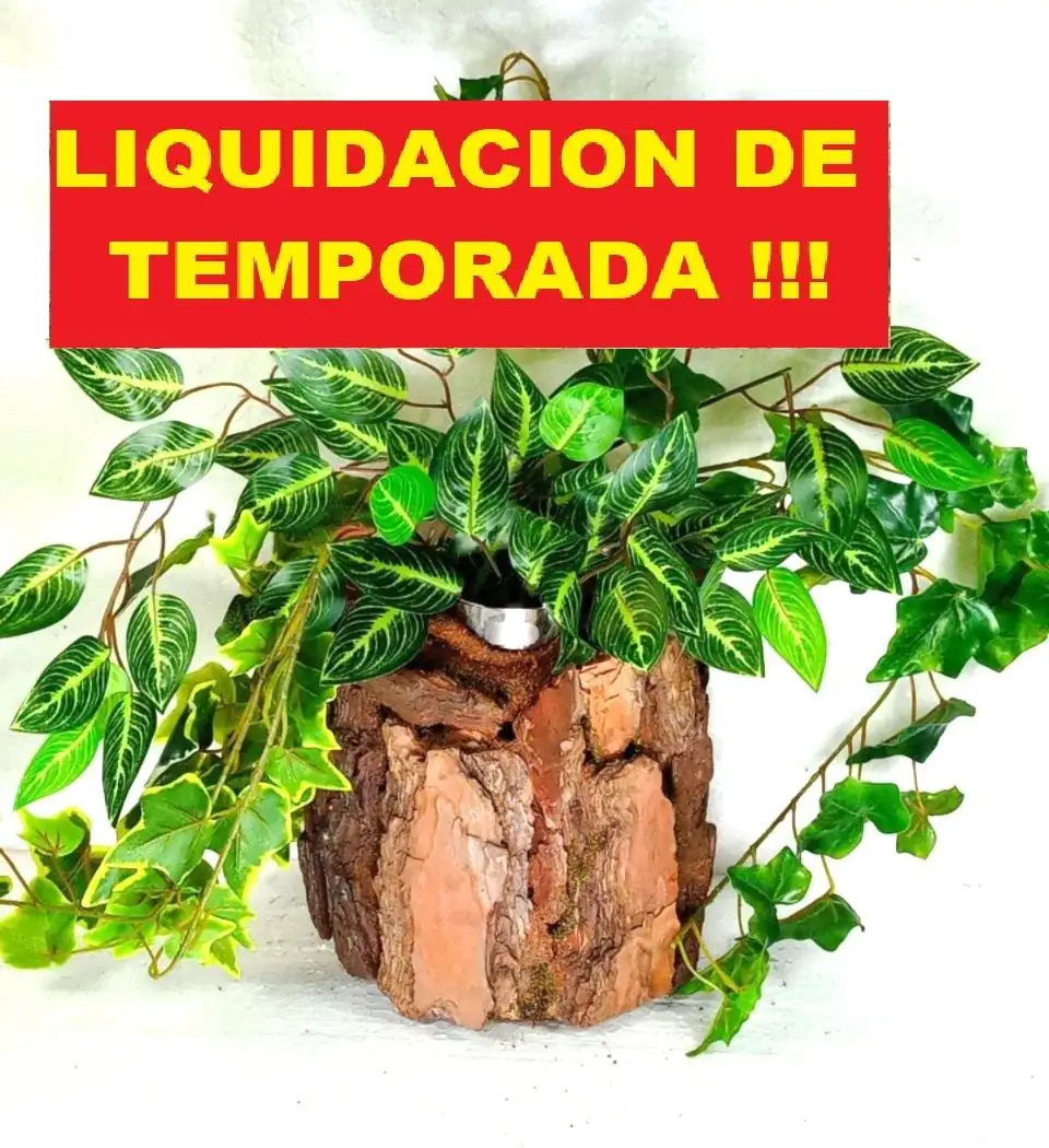 Soporte plantas terrario reptiles - Imagen 2