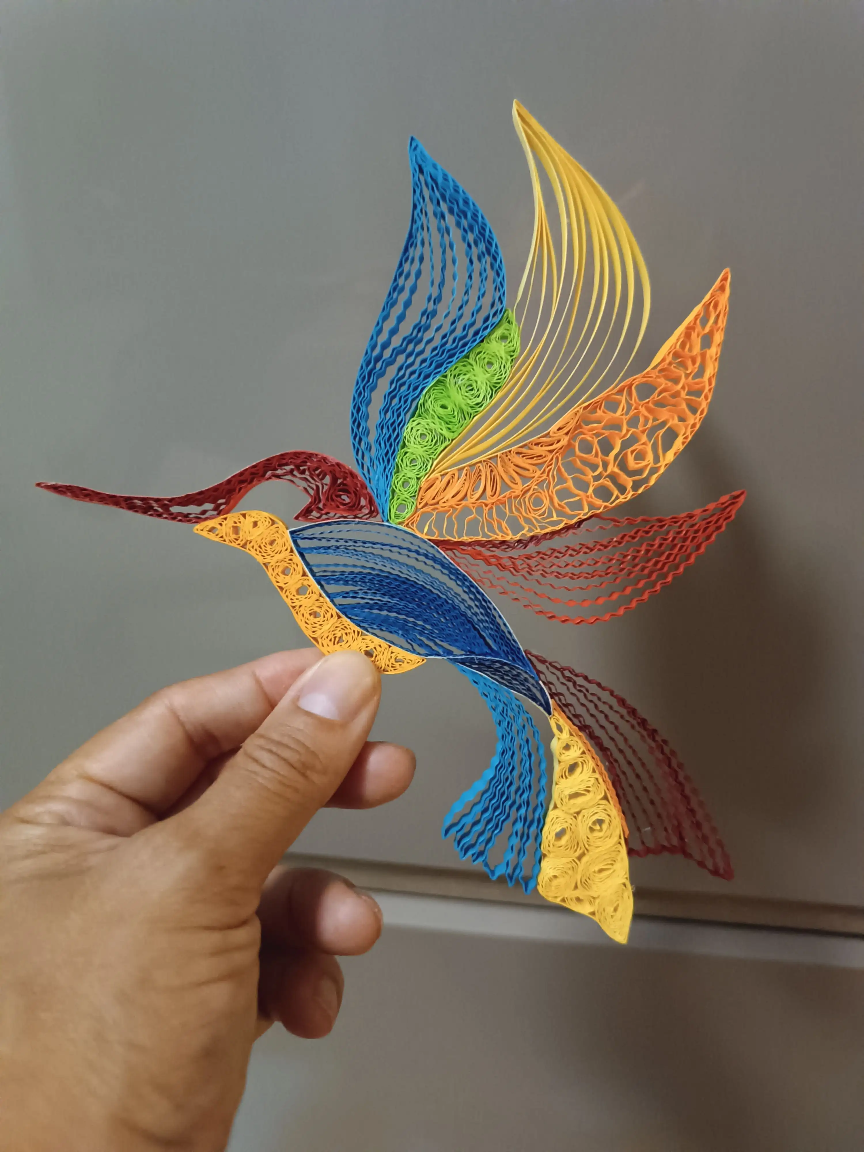 Colibrí - Imagen 5