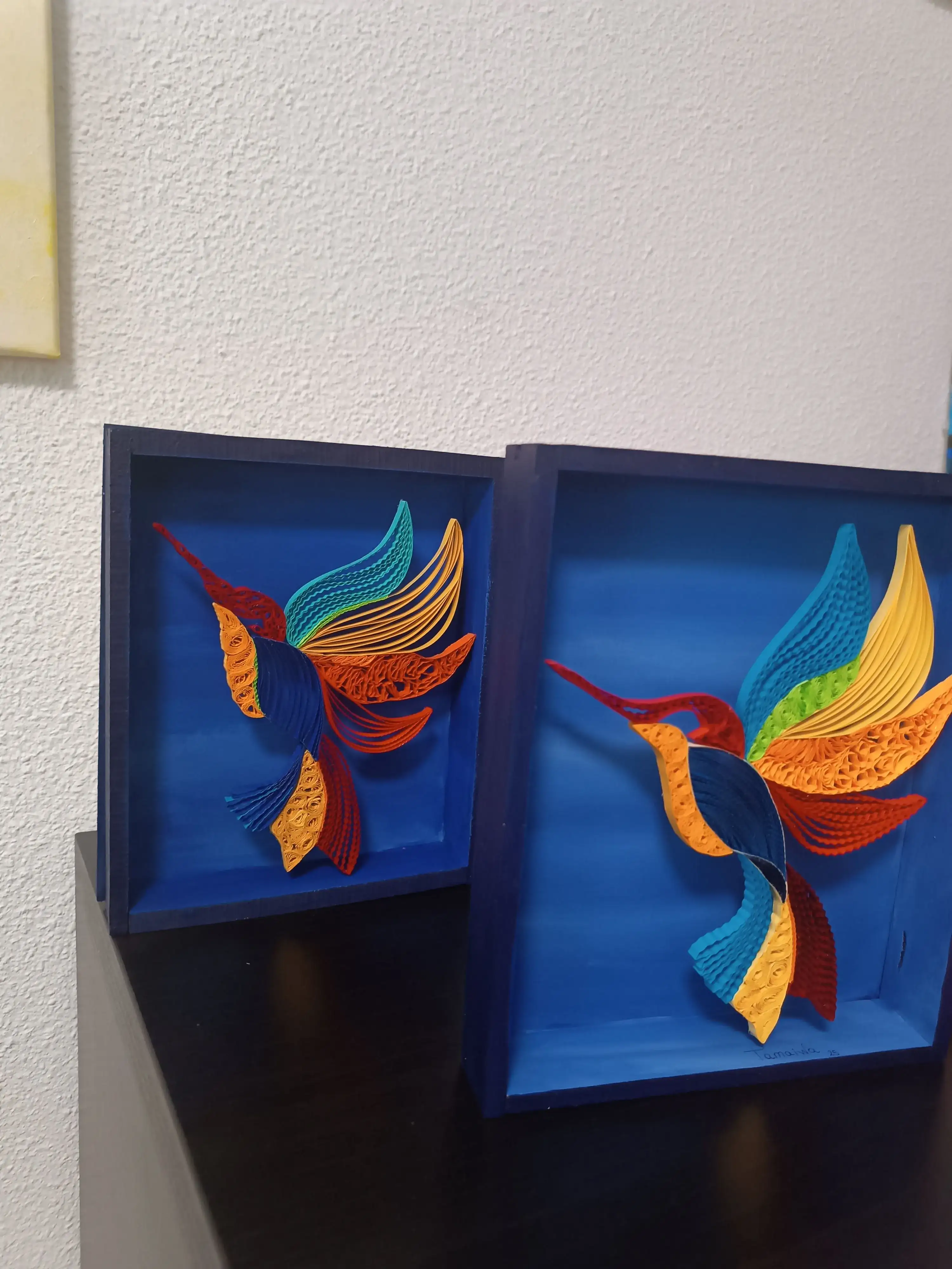 Colibrí - Imagen 2
