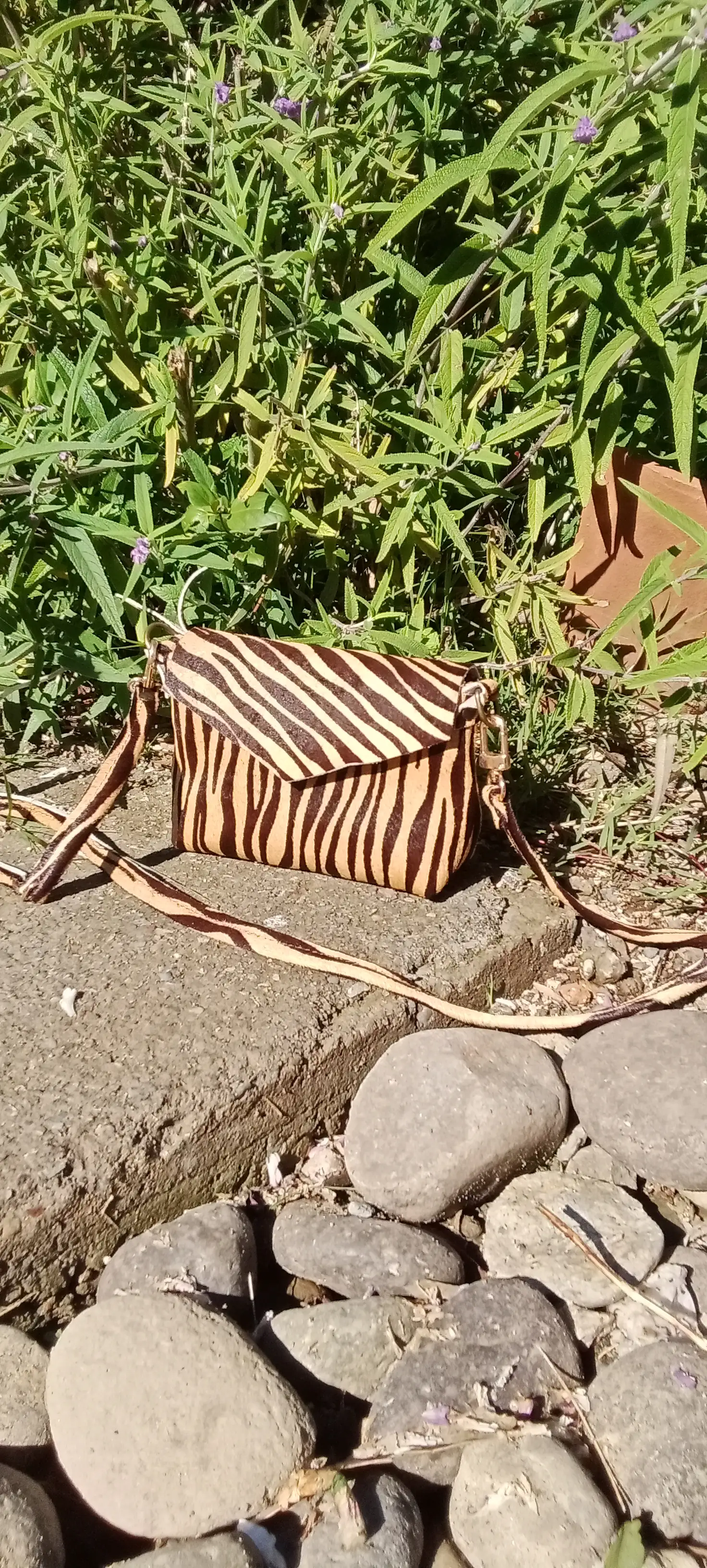 Cartera  Meli
