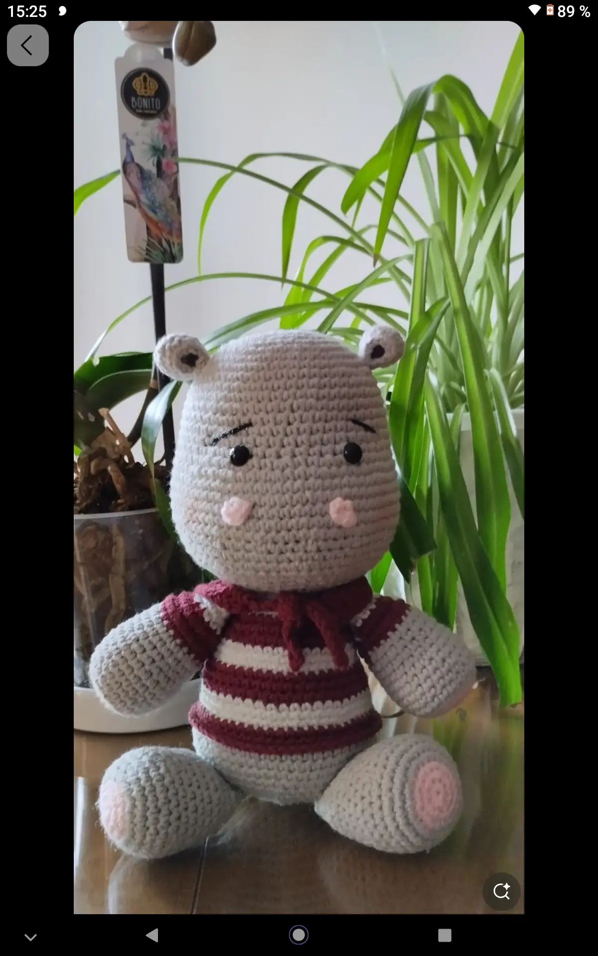 Amigurumi Hipopótamo Pio