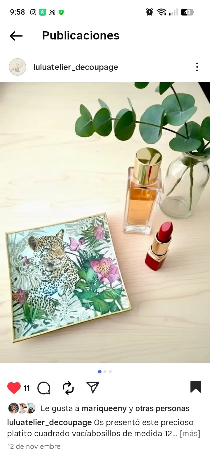 Vacía bolsillo leopardo