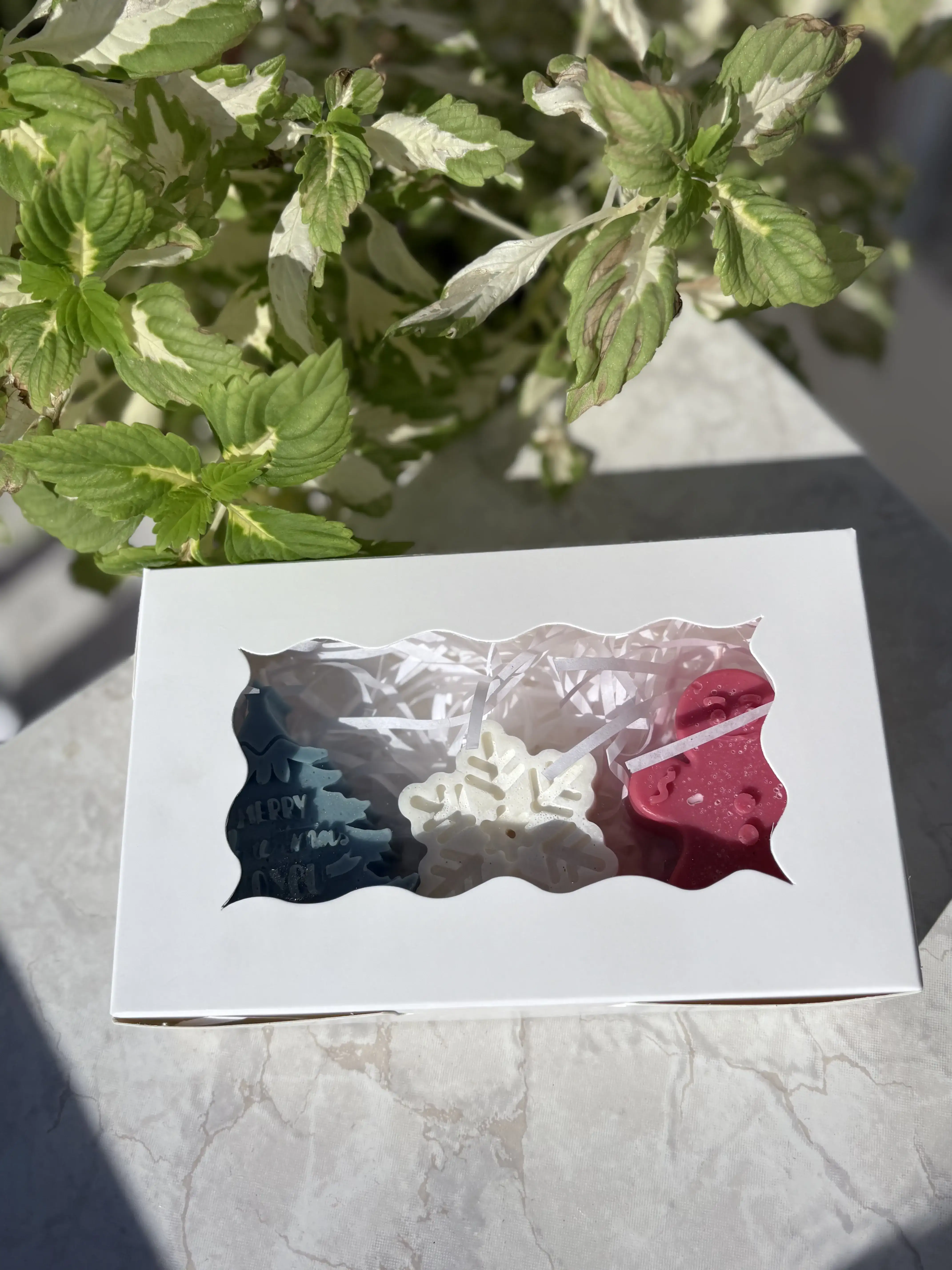 Box tricolor - Imagen 2