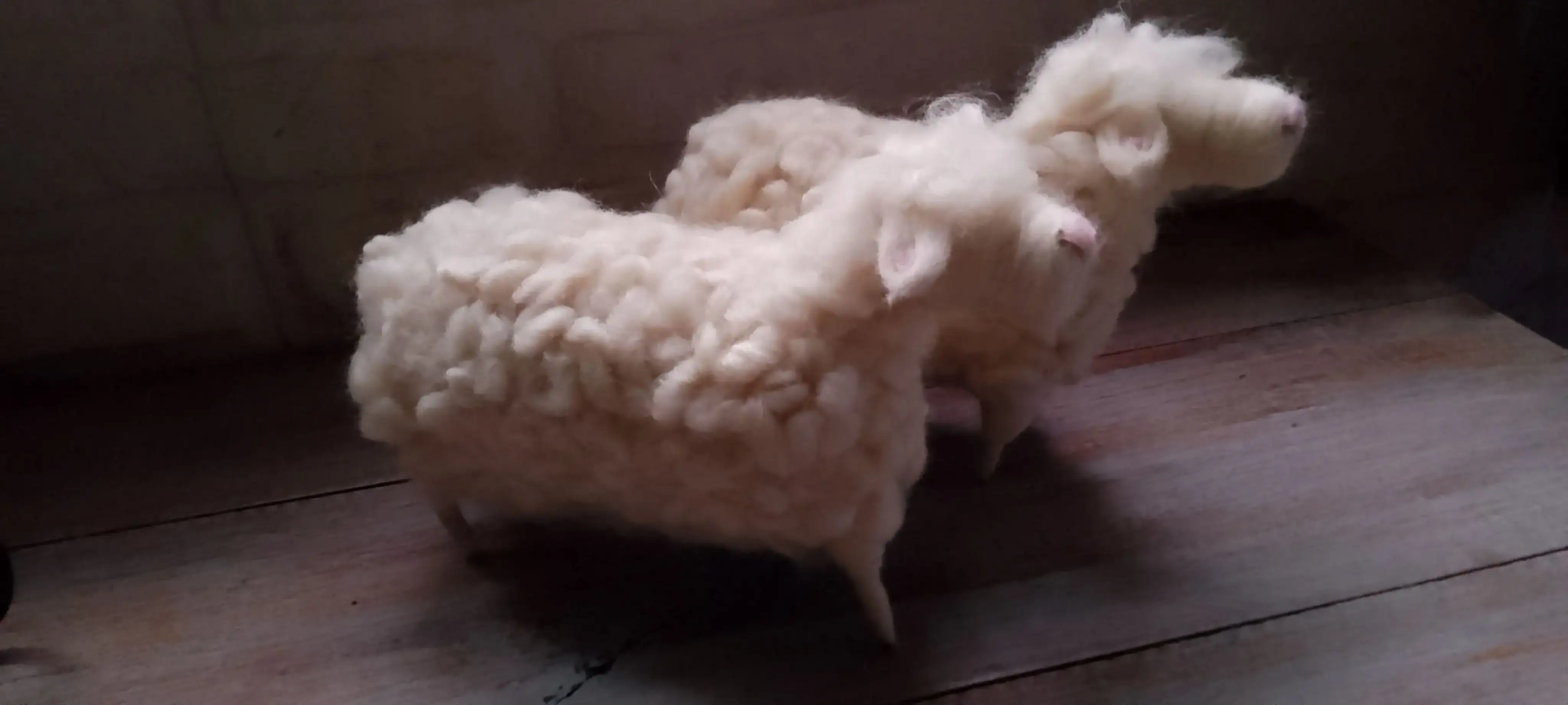 Ovejas y muñecas - Imagen 5