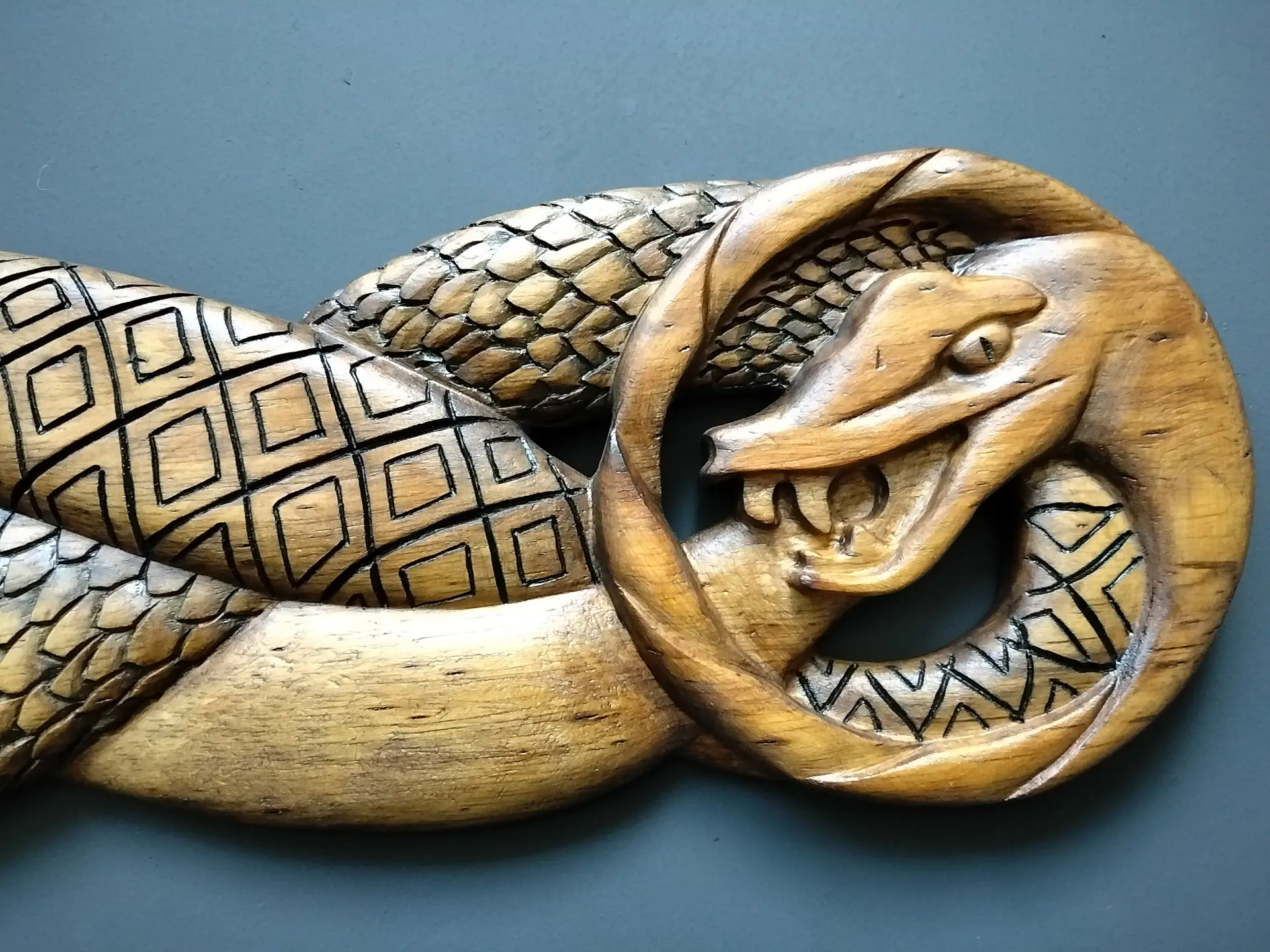Serpiente triadica - Imagen 3