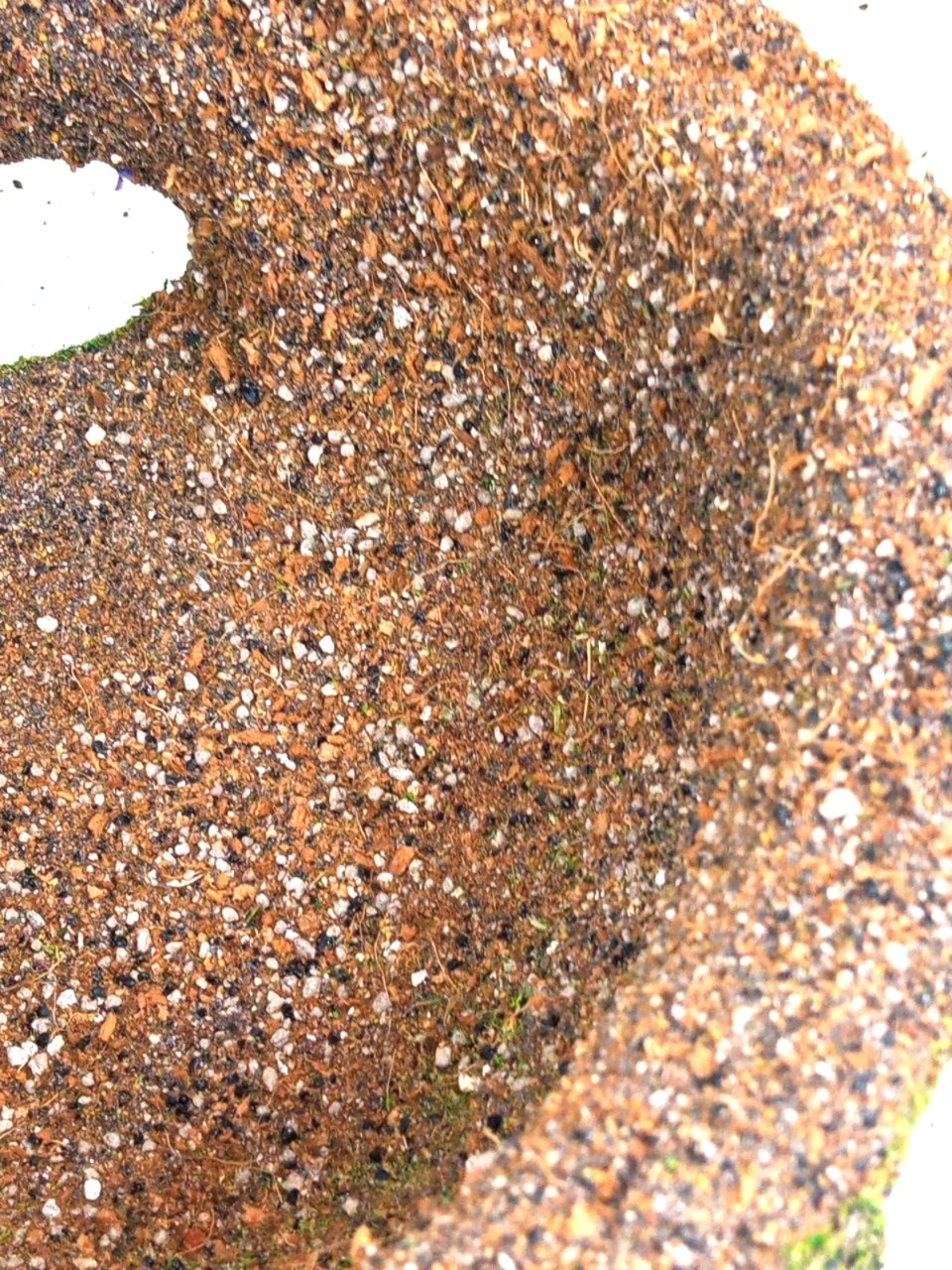 Refugio para reptiles - Imagen 5