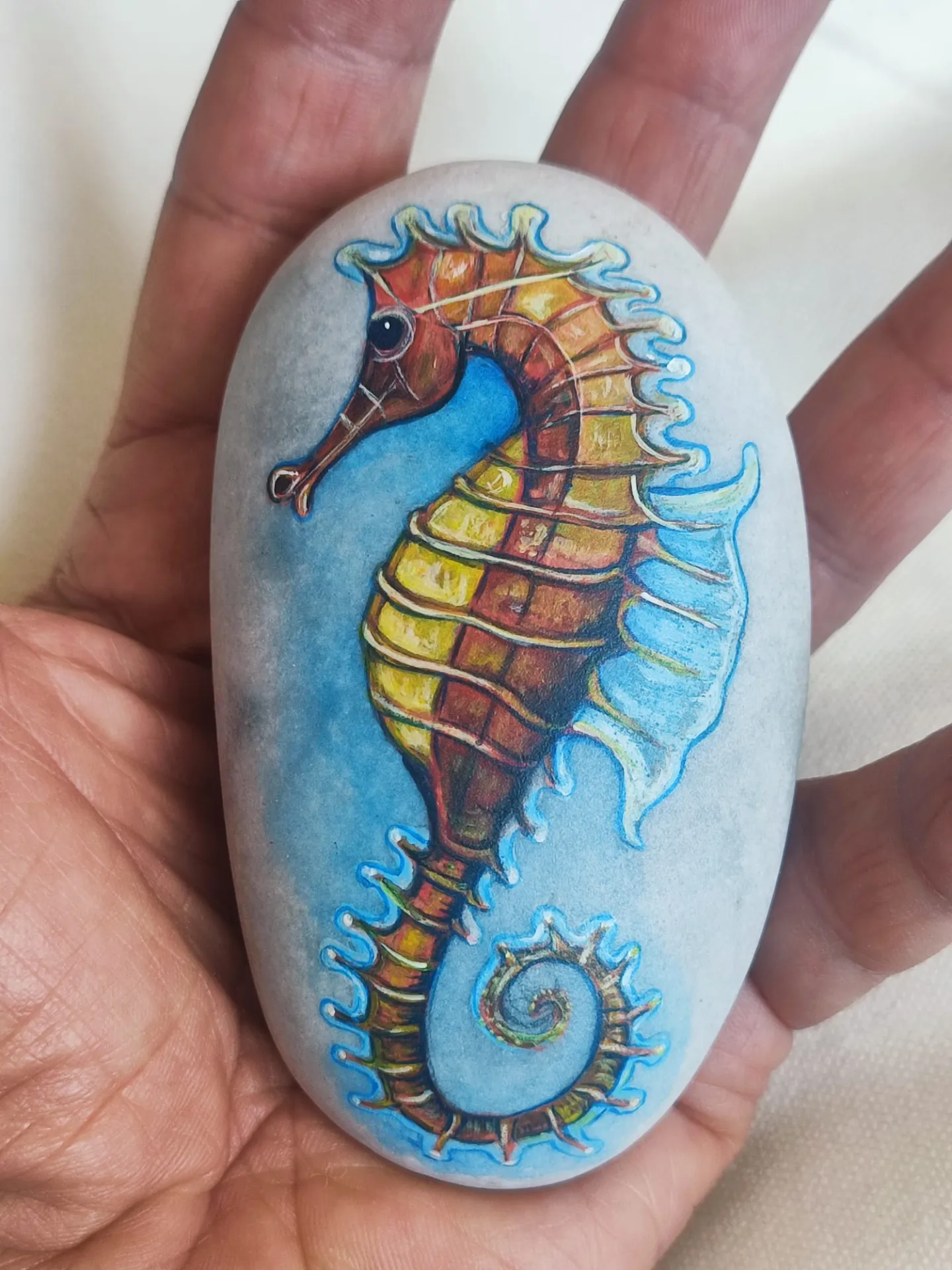 Caballito de mar