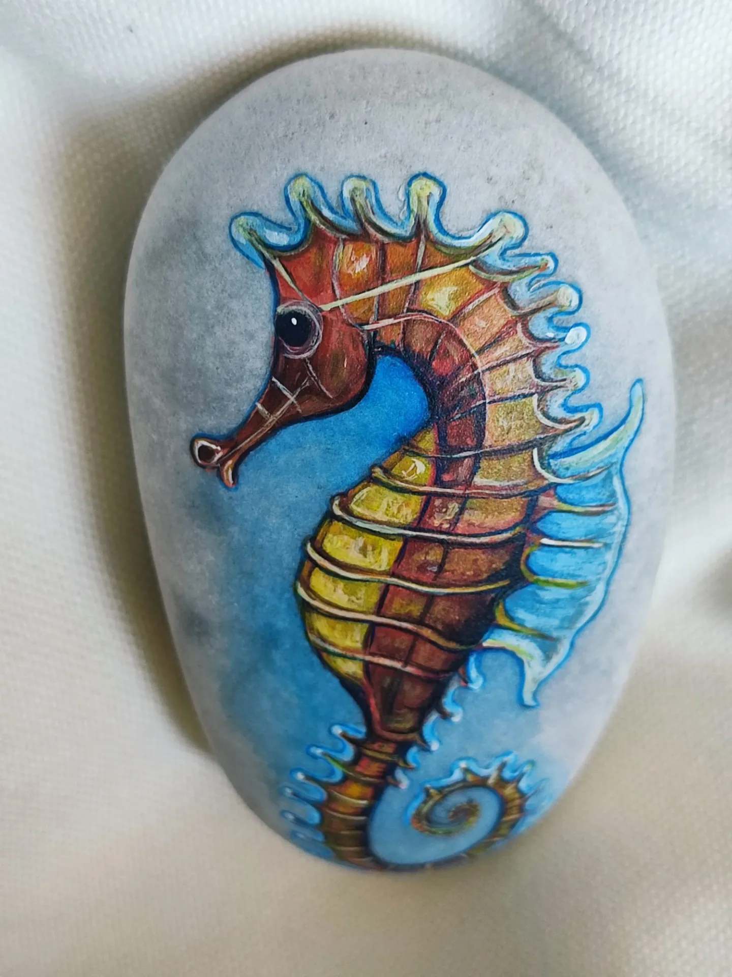 Caballito de mar - Imagen 4