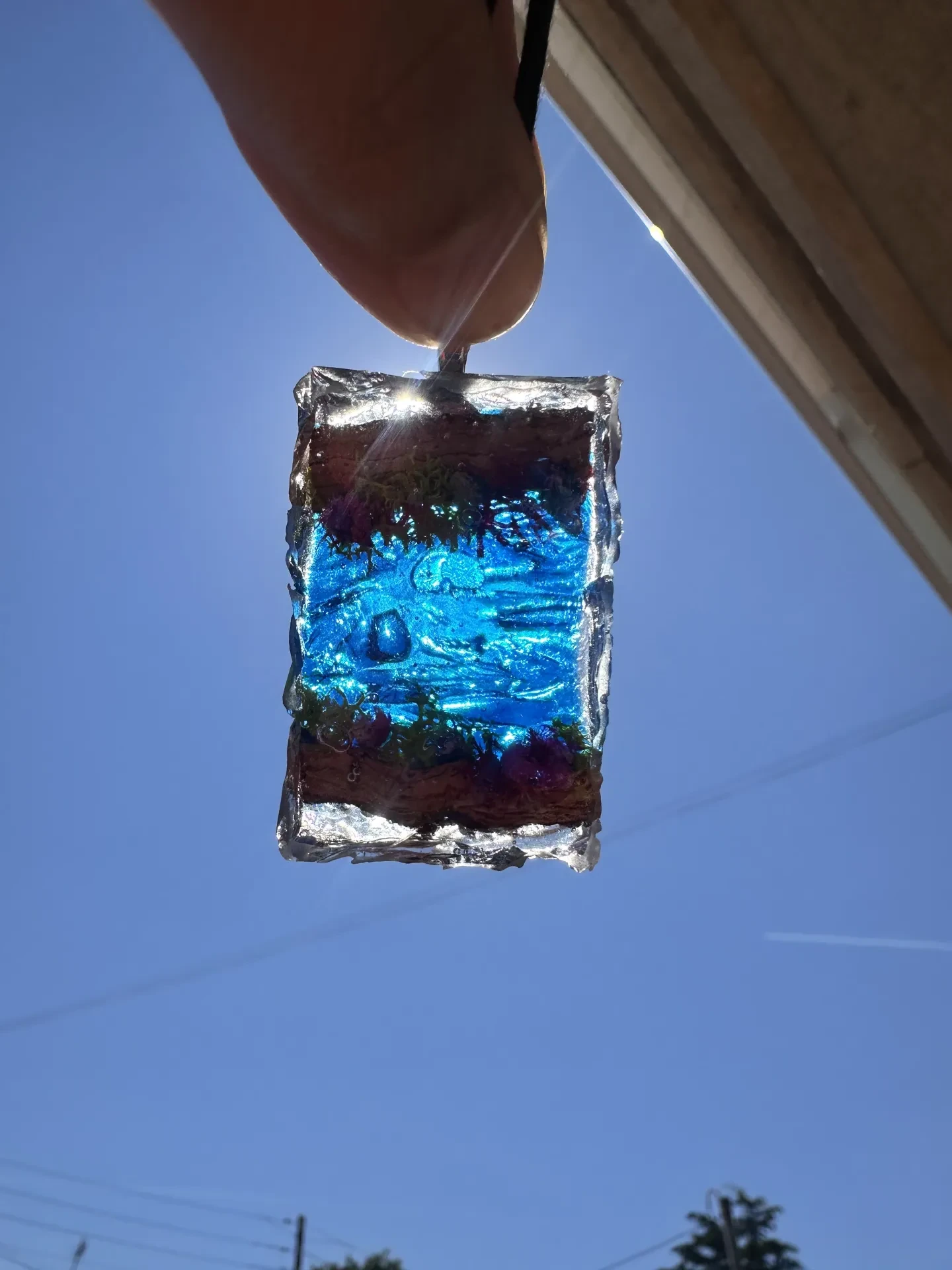 Naturaleza bajo el agua - Imagen 3