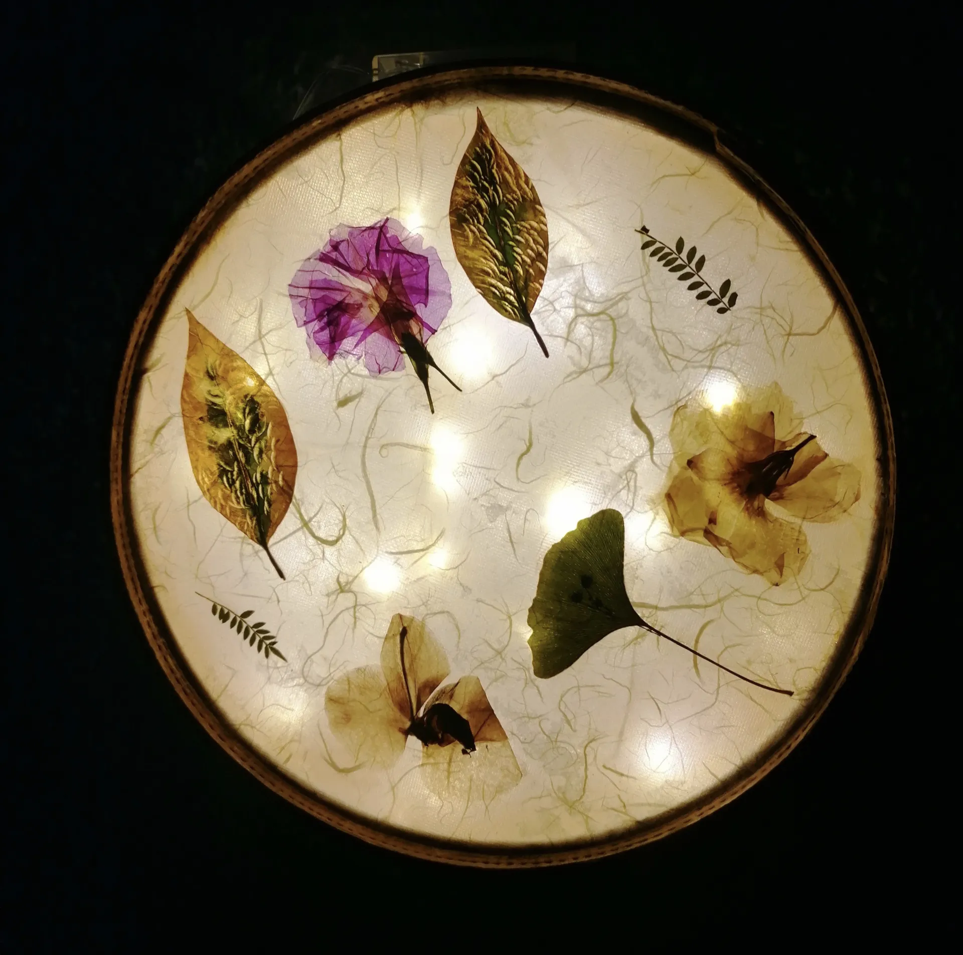 Luminaria 