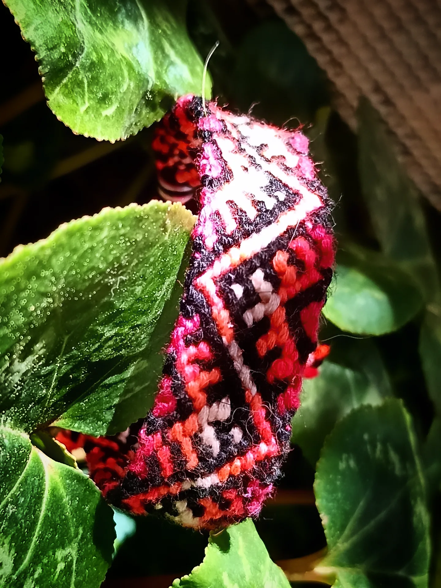 Pulsera macramé