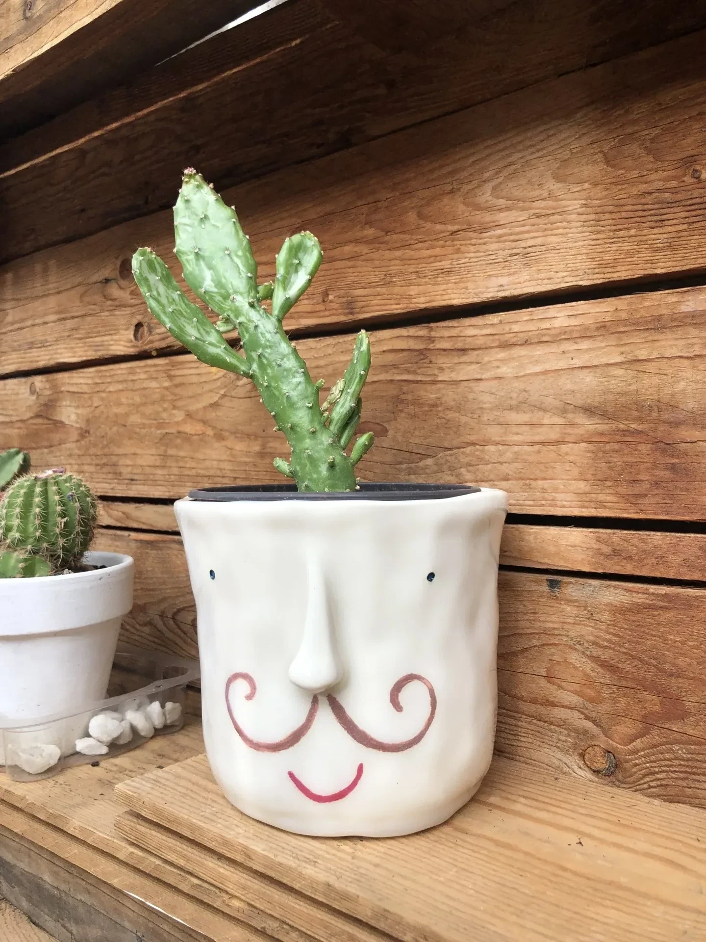 Maceta sonriente de cerámica - Imagen 2