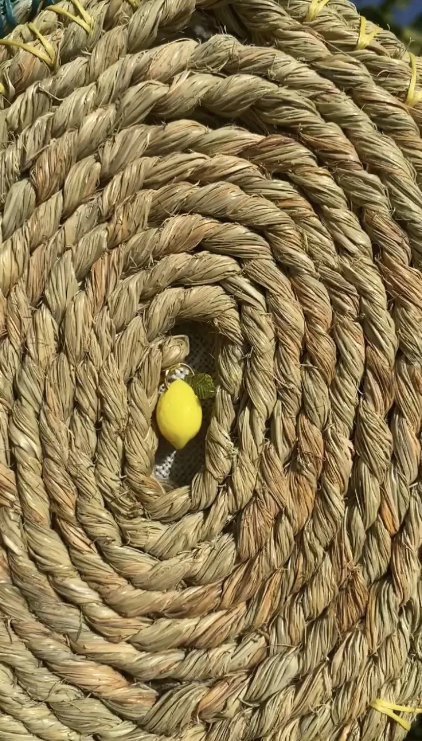 Salvamantel “Limón” - Imagen 3