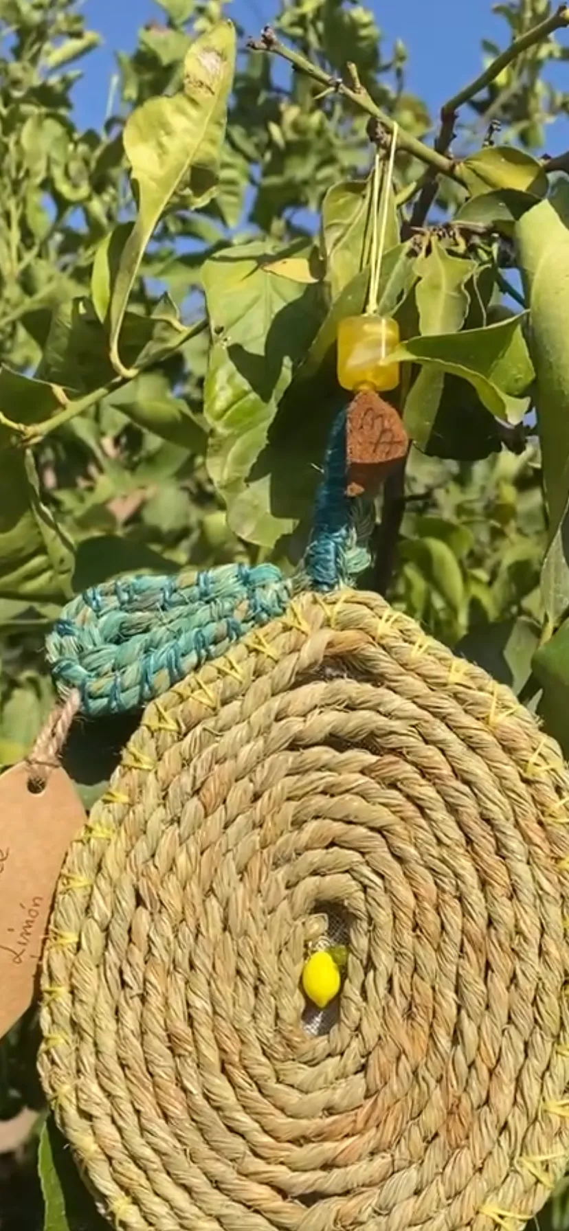 Salvamantel “Limón” - Imagen 2