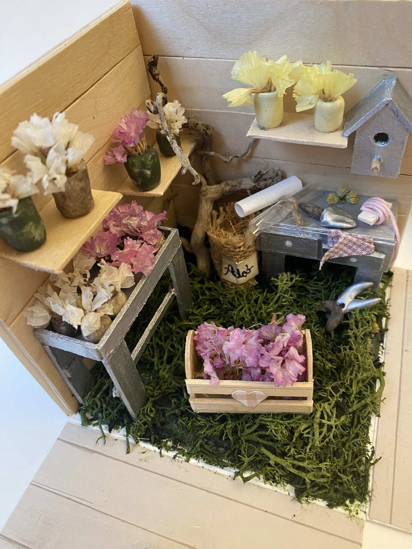 Caja sorpresa jardinería