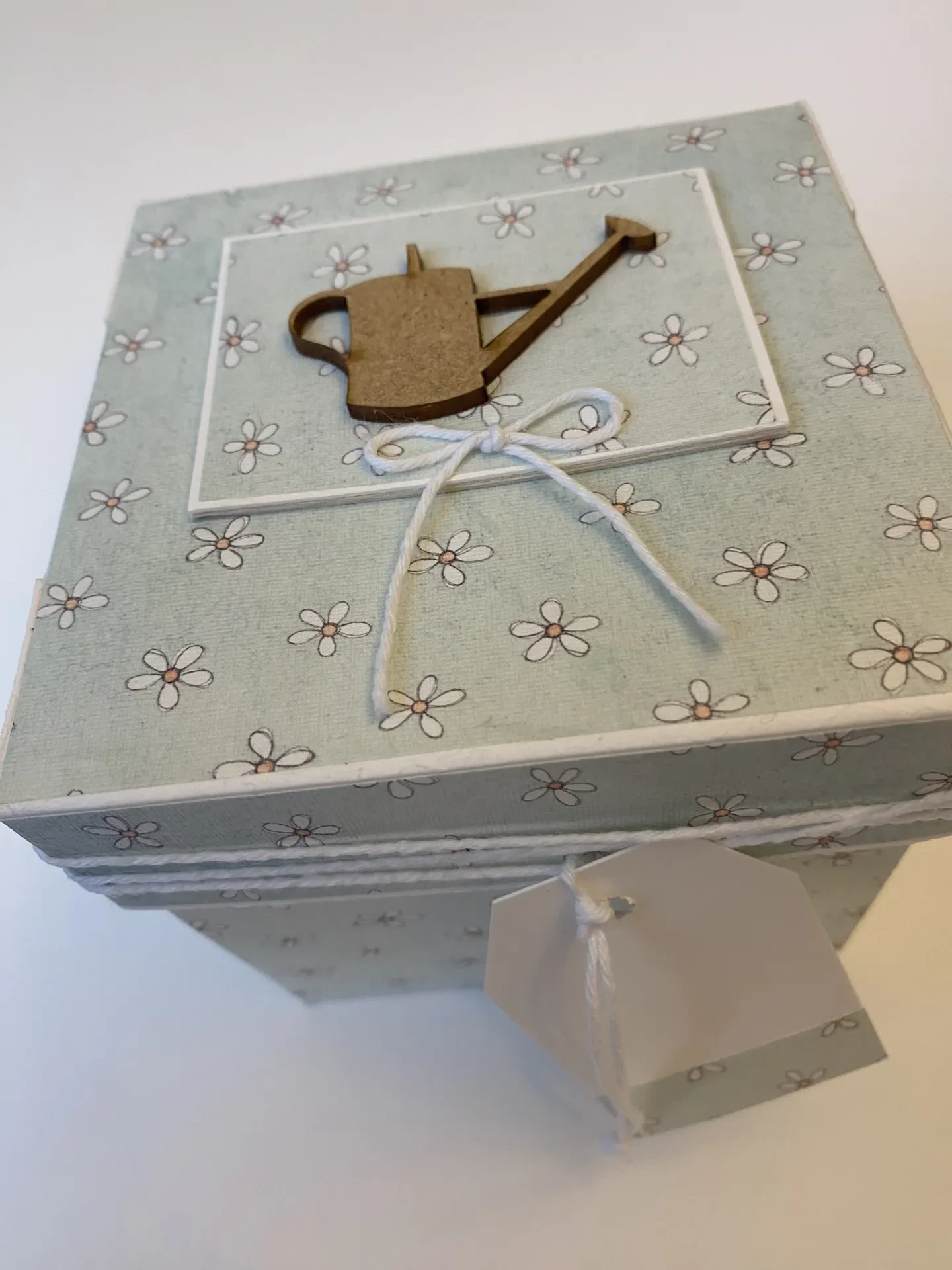 Caja sorpresa jardinería - Imagen 2