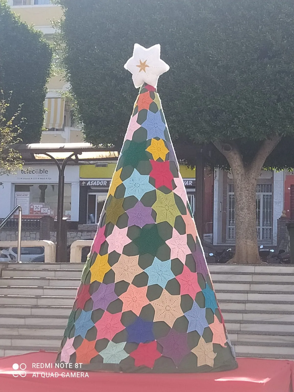 Árboles de navidad - Imagen 3