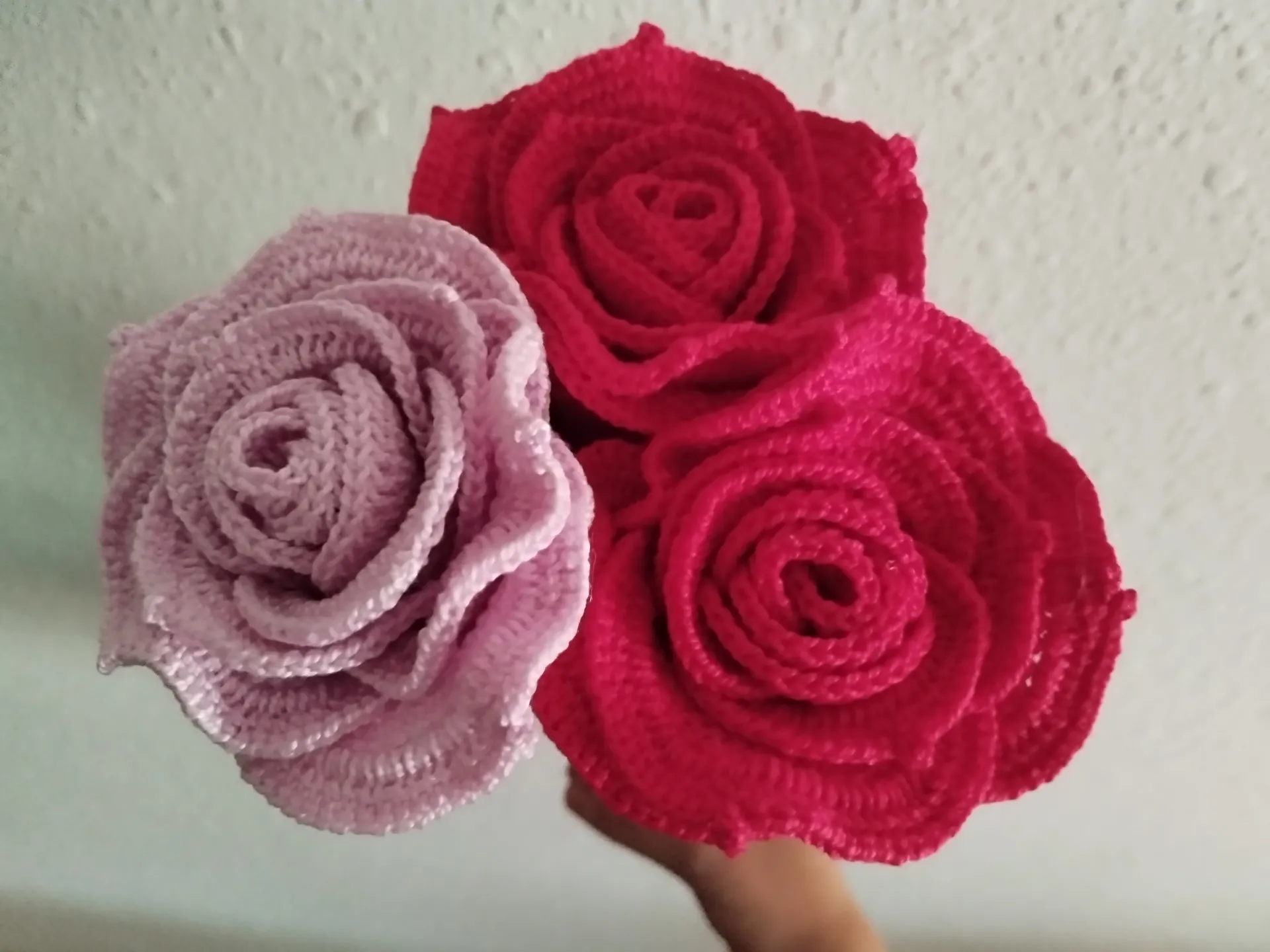 Rosa eterna - Imagen 4