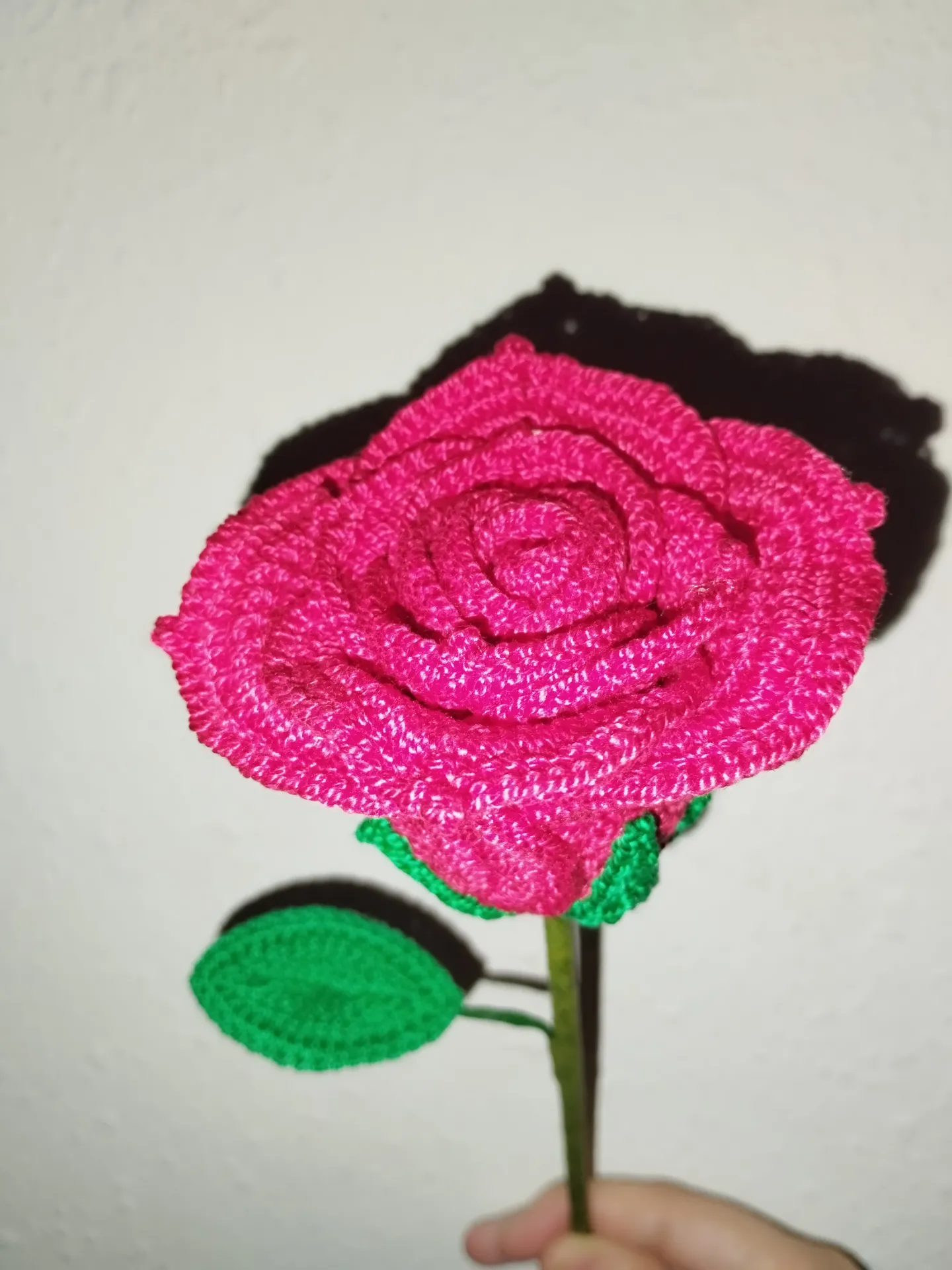 Rosa eterna - Imagen 2